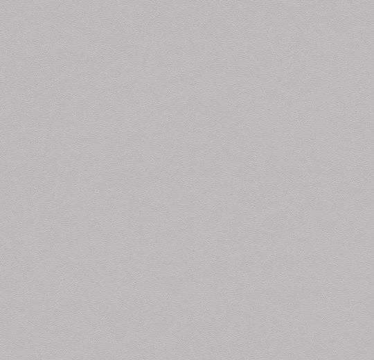 0861T4319 light grey uni