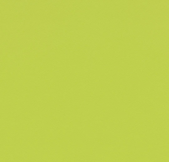 868T4319 lime uni