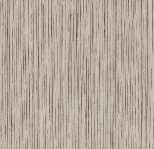 311T4319 light grey zebrano