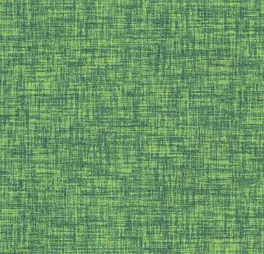 065369 shamrock