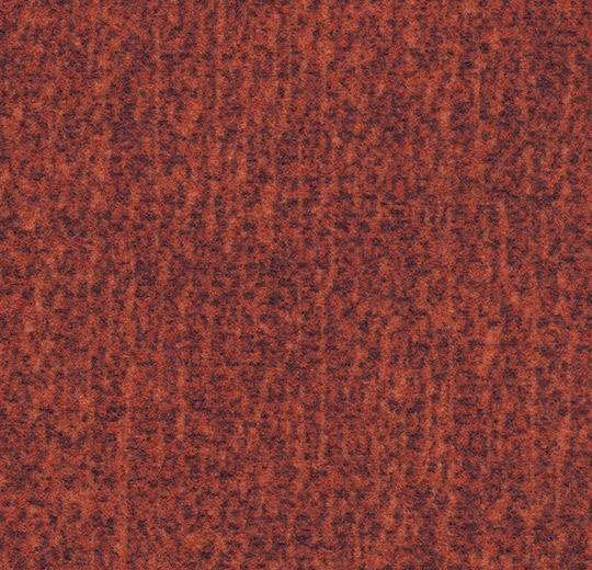 075082 Koro