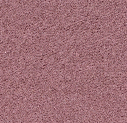 900266 rose