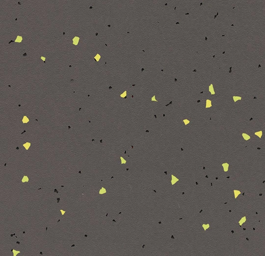 51244 vivid ebony