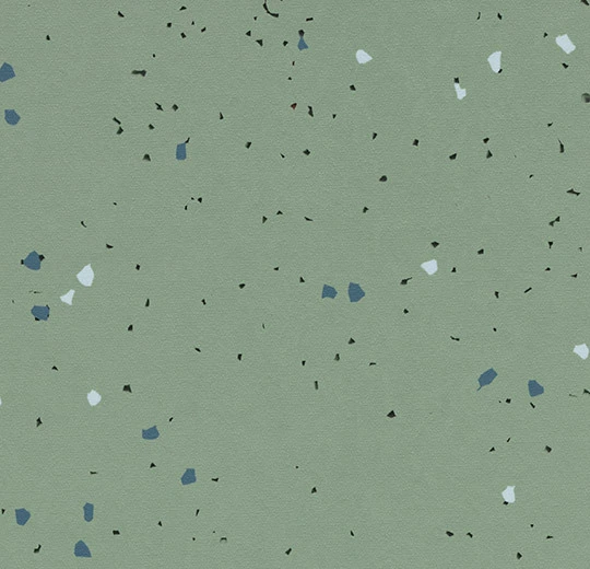 51245 vivid thyme