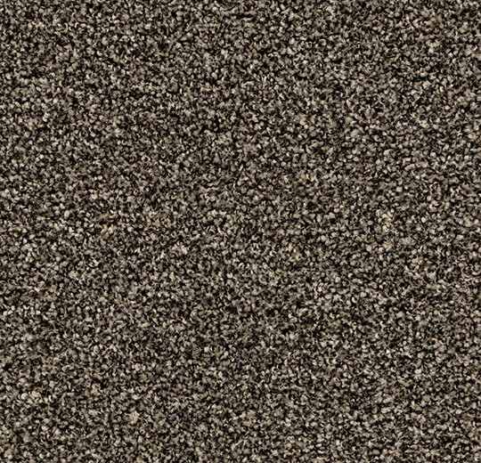2604 virgin sand