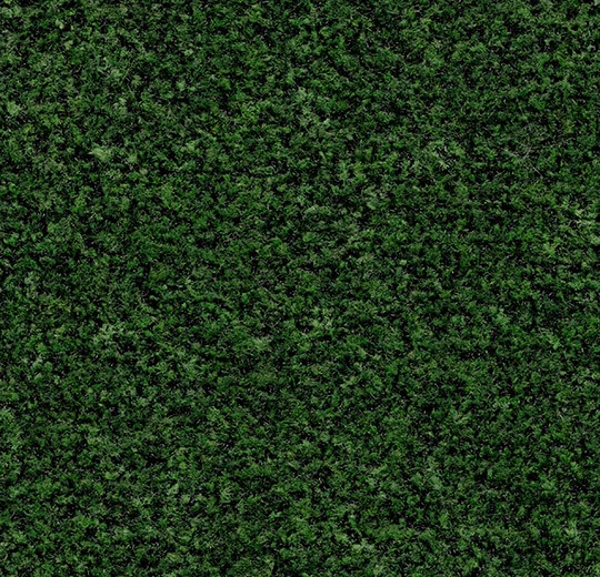 5708FR Coral Brush FR avocado green