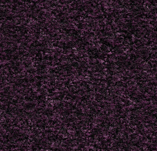 5739FR Coral Brush FR byzantine purple