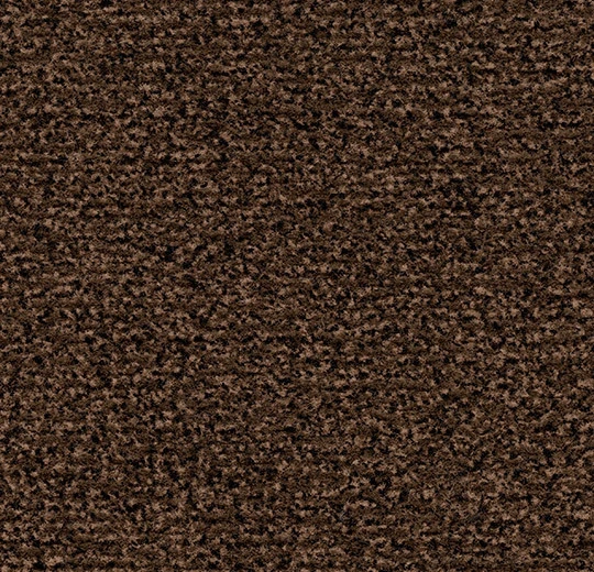 4726FR Coral Classic FR auburn