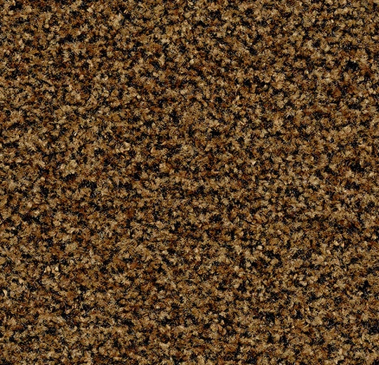 5716 masala brown