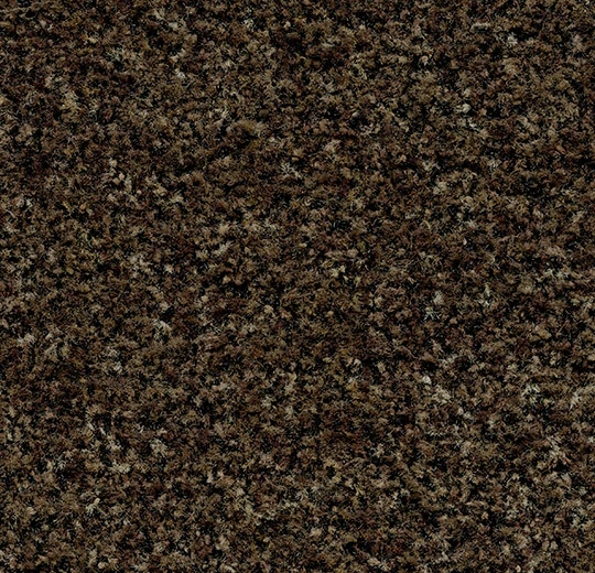 5774 biscotti brown