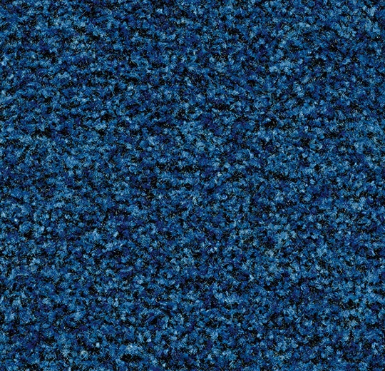 5722FR Coral Brush FR cornflower blue
