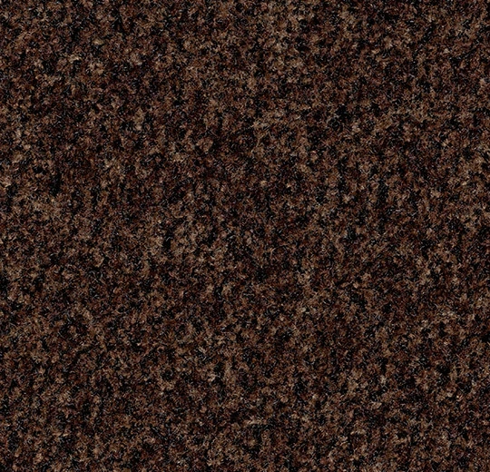 5724FR Coral Brush FR chocolate brown