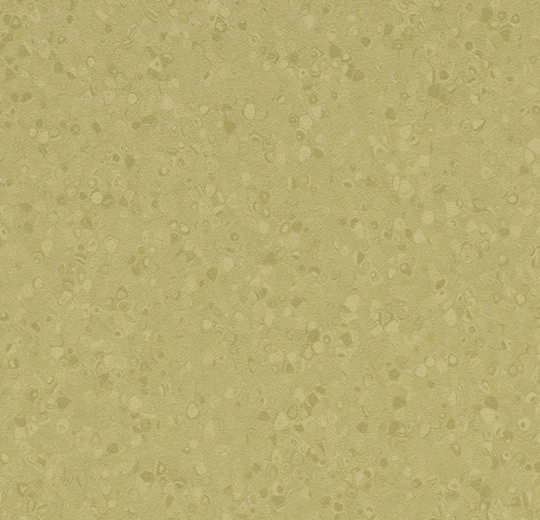 50065 moss