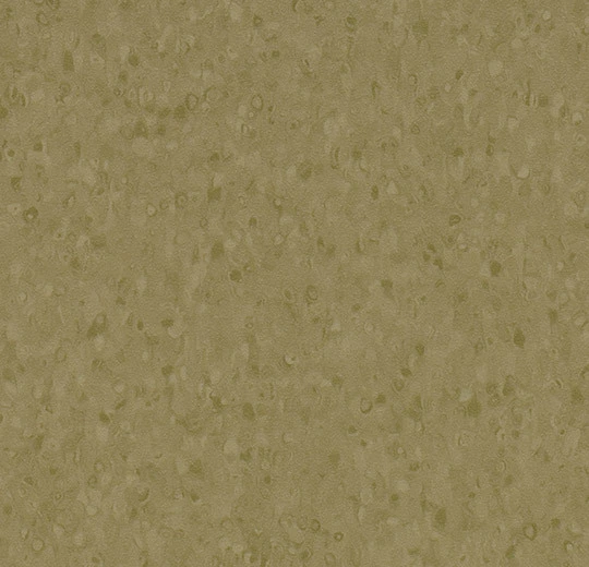 50069 dark moss