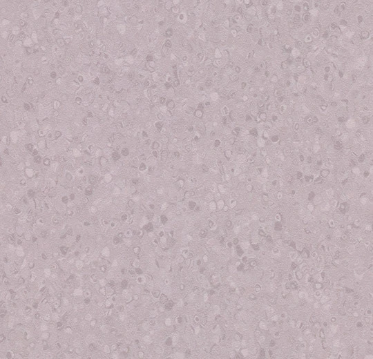 50070 soft violet