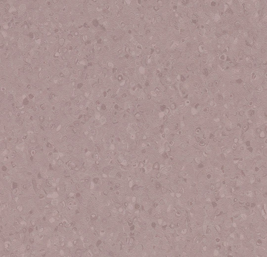 50071 violet