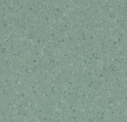 50077 kelp