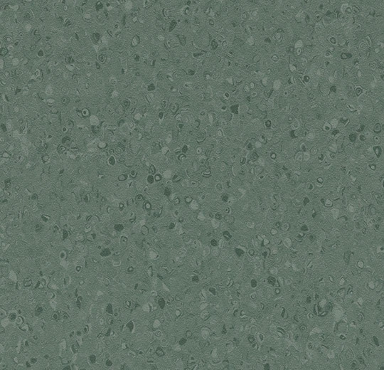 50078 dark kelp