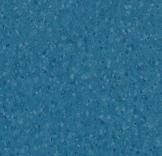 50081 ocean