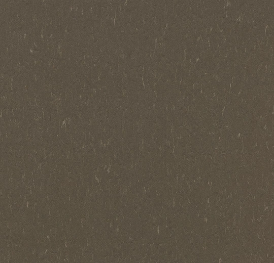 MCT 3657 hazelnut