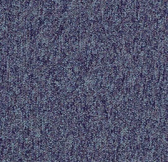 4380 blackcurrant