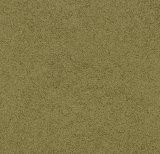 68722 olive