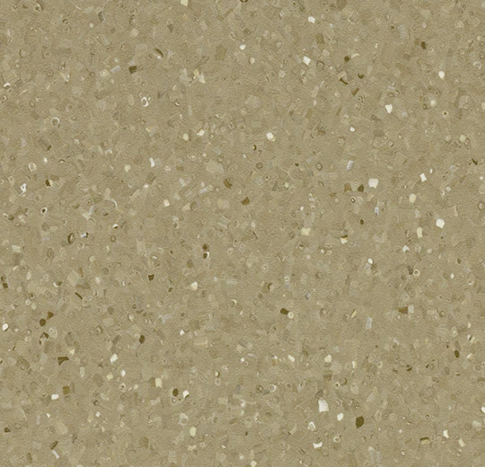 50490 enstatite