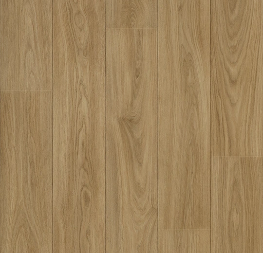 3093 warm elegant oak
