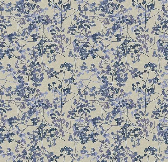254103 Elderflower Blueberry