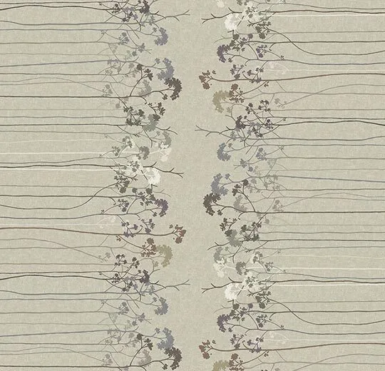 254201 Elder Border Almond
