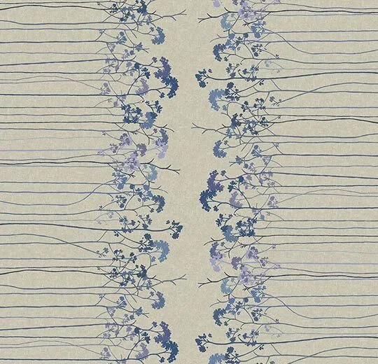 254203 Elder Border Blueberry