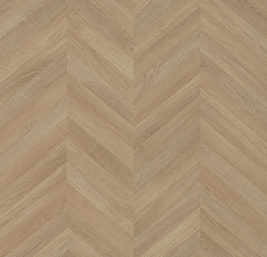 8623UP23 chêne point de Hongrie moyen