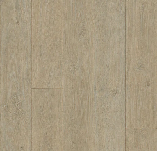 618802 elegant oak