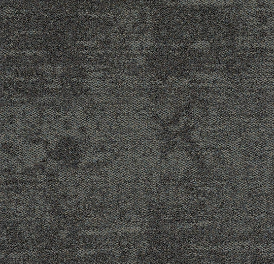 4503 enduring storm