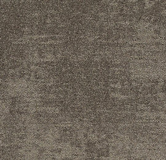 4506 coffee cream