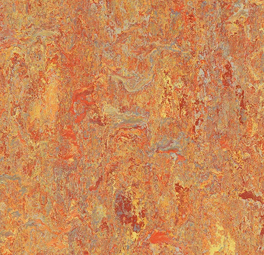 Marmoleum Cinch LOC SEAL — Asian tiger
