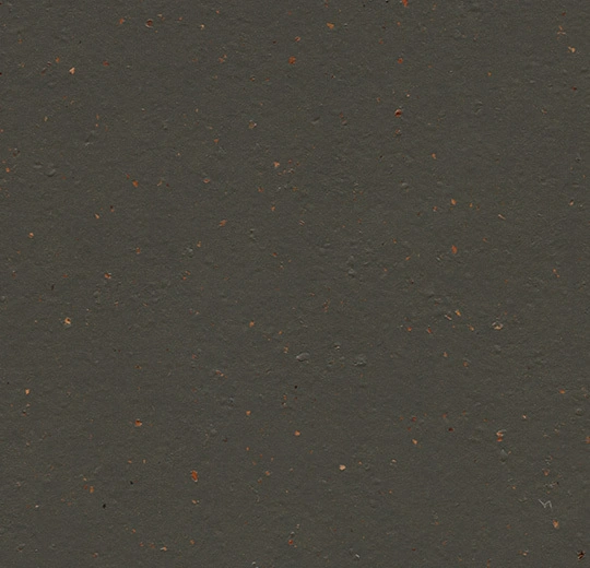 3591 black tea
