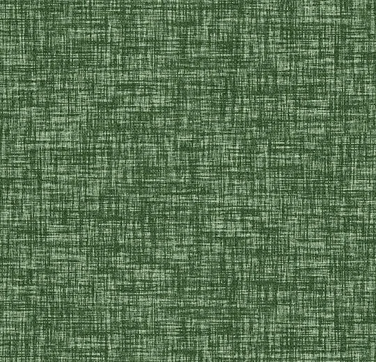 265004FR Explore moss