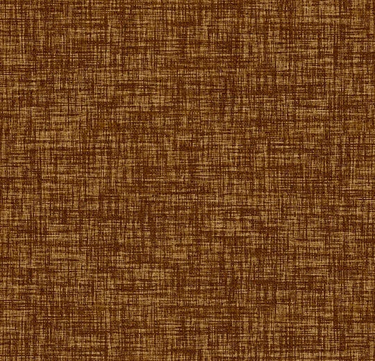 265011FR Explore ginger