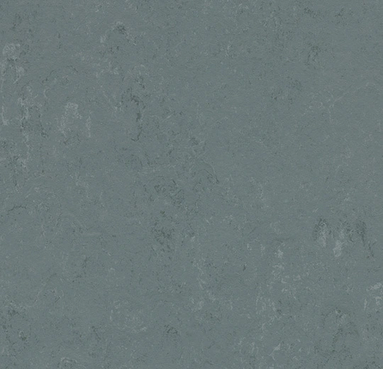 3756 Neptune