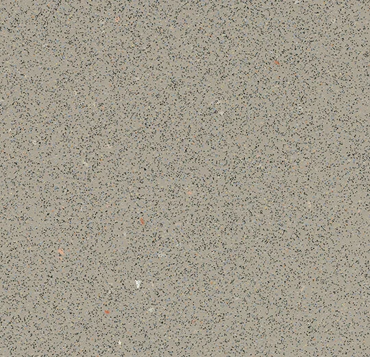 175872 fossil
