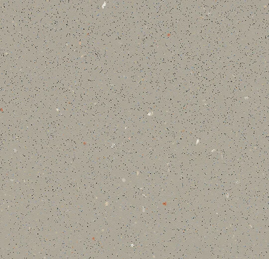 174232 fossil