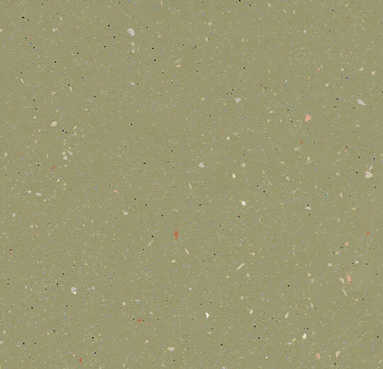 172542 moss