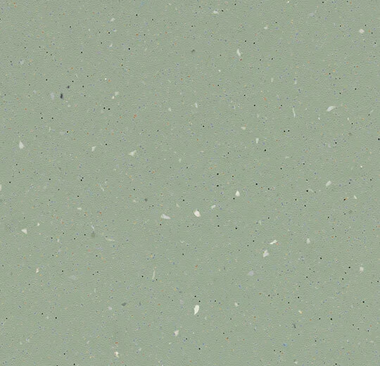 172192 light kelp