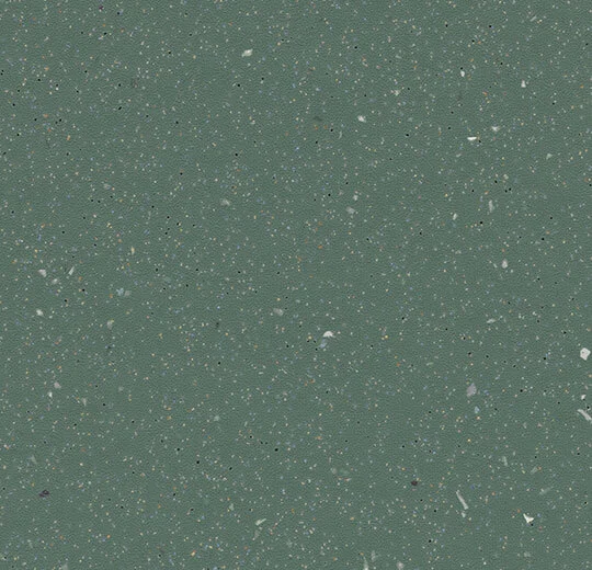 172362 kelp