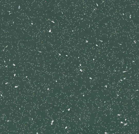 172072 dark kelp