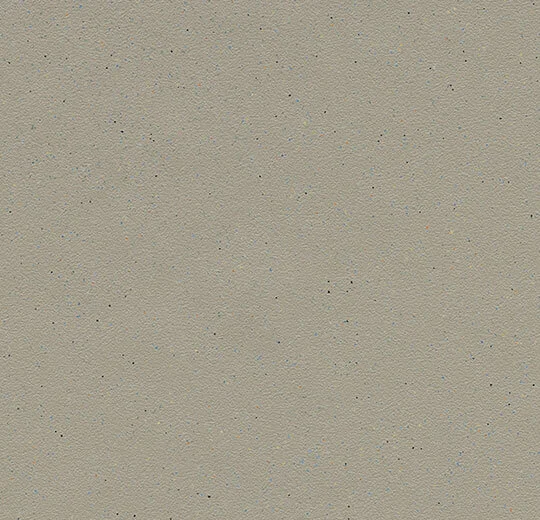173232 fossil
