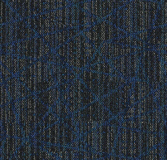 88927FR Plexus cobalt