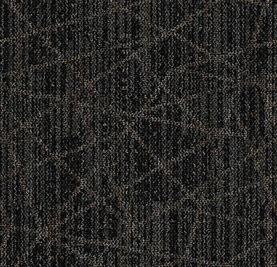 88924FR Plexus lithium