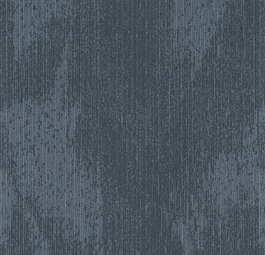 s202044 Latitude gull